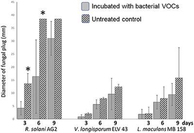 To defend or to attack? Antagonistic interactions between Serratia plymuthica and fungal plant pathogens, a species-specific volatile dialogue